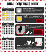 Cheeky Chooka Dual Chick Feeder Port Kit V194-CH-PORT-D