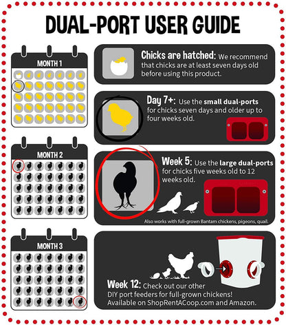 Cheeky Chooka Dual Chick Feeder Port Kit V194-CH-PORT-D