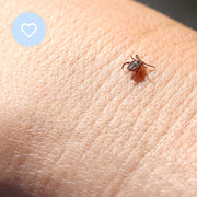 Mitey Tick Off For You Electronic Tick Repeller V194-MTO-06