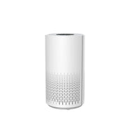 Air Purifier and Cleaner with HEPA Filter, Sleep Mode and Timer V196-AP67