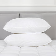 100 Percent Cotton Pillow Cover with 800g Poly Fill, Hypoallergenic, Antibacterial, and Cooling Technology 2 V196-P200_K