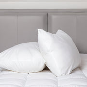 100 Percent Cotton Pillow Cover with 800g Poly Fill, Hypoallergenic, Antibacterial, and Cooling Technology 2 V196-P200_K