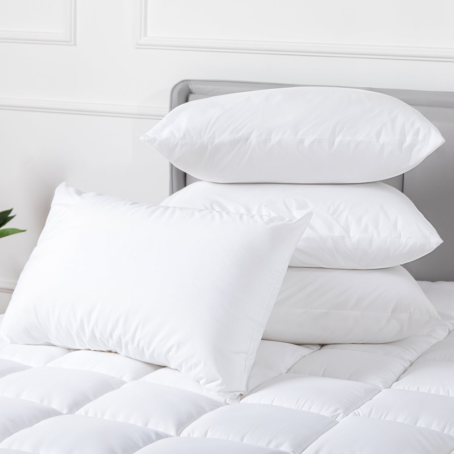100 Percent Cotton Pillow Cover with 800g Poly Fill, Hypoallergenic, Antibacterial, and Cooling Technology 4 V196-P400_K