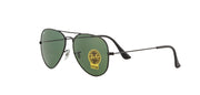 Aviator Classic Sunglasses in Black and Green V196-RB3025-L2823