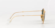 Classic Round Metal Sunglasses in Gold and Green V196-RB3447-001