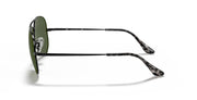 Aviator Metal II in Black and Green Sunglasses V196-RB3689-9148-31