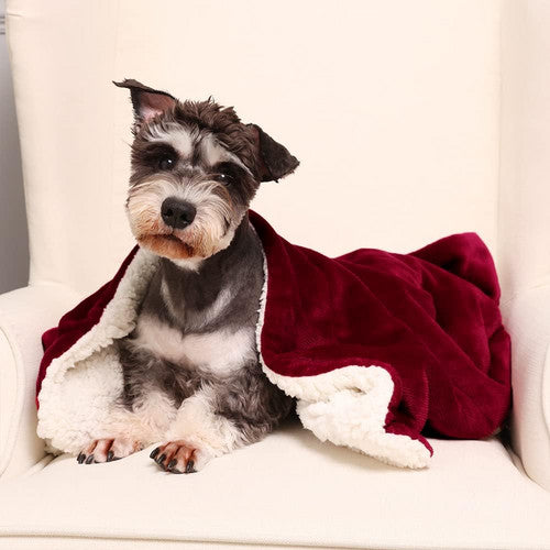 Double-side Flannel Heated Electric Throw Blanket Fast Heating Warm Washable red V201-BCJHDFDZ13RE
