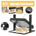 40 degrees celsius to 70 degrees celsius Adjustable Chick Brooder Heating Plate Chicken Coop Duck Poultry V201-EGG0014BL8AU