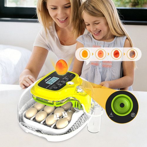 Automatic Egg Incubator 16-30 Eggs Chicken Duck Poultry Hatcher Breeder Candler V201-EGG0016YL8AU