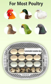 Automatic Egg Incubator 16-30 Eggs Chicken Duck Poultry Hatcher Breeder Candler V201-EGG0016YL8AU