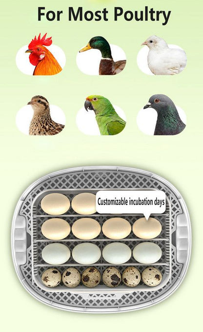 Automatic Egg Incubator 16-30 Eggs Chicken Duck Poultry Hatcher Breeder Candler V201-EGG0016YL8AU