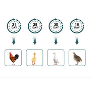 Digital Led Fully Automatic 25 Egg Incubator Hatch Turning Chicken Eggs Poultry V201-EGG0025GR8AU