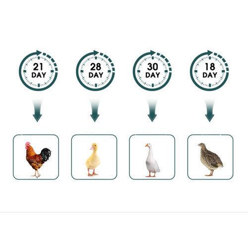Digital Led Fully Automatic 25 Egg Incubator Hatch Turning Chicken Eggs Poultry V201-EGG0025GR8AU