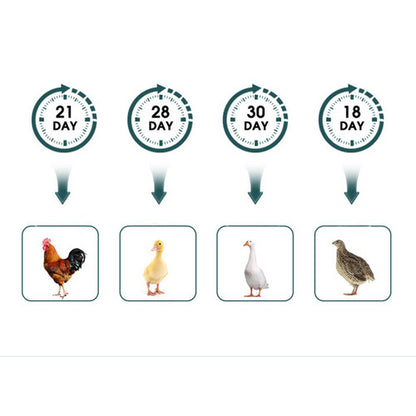 Digital Led Fully Automatic 25 Egg Incubator Hatch Turning Chicken Eggs Poultry V201-EGG0025GR8AU