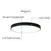 30CM LED Ceiling Light Modern Surface Mount Flush Panel Downlight Ultra-thin V201-FBA0030BL8AU