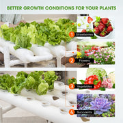 36 Sites Hydroponic Grow Tool Kits Vegetable Garden System 220V Water Pump V201-FDZ1128WH8AU