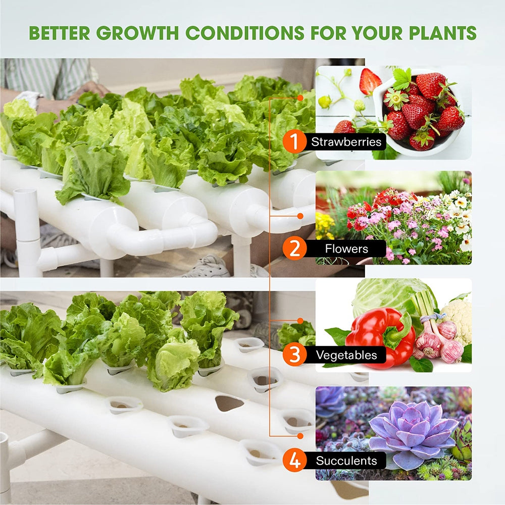 36 Sites Hydroponic Grow Tool Kits Vegetable Garden System 220V Water Pump V201-FDZ1128WH8AU