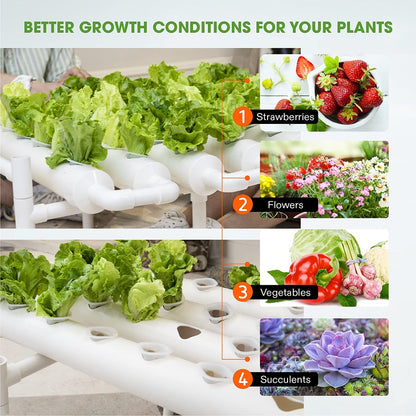 36 Sites Hydroponic Grow Tool Kits Vegetable Garden System 220V Water Pump V201-FDZ1128WH8AU