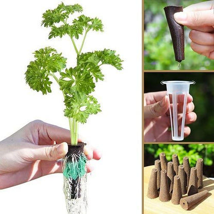 Hydroponics Plant Growing System 12 Pods Indoor Herb Garden Kit Led Light 4L WHITE V201-FDZ2412WH8AU