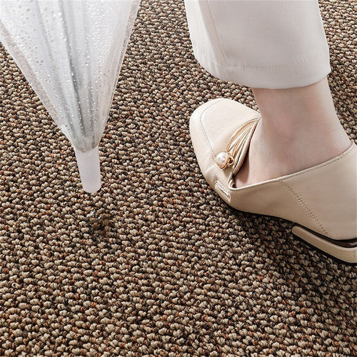 Premium Entrance Door Carpet 120x80cm Sole Cleaning Mats Sand and Dust Removal Washable V201-PADA1280BW8AU