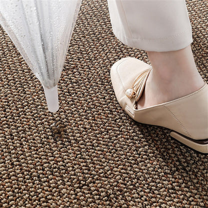 Premium Entrance Door Carpet 120x80cm Sole Cleaning Mats Sand and Dust Removal Washable V201-PADA1280BW8AU