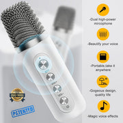Sliver Karaoke Machine with 2 Wireless Microphones Bluetooth-Compatible 5.0 for Parties V201-QHGMMOREONE048