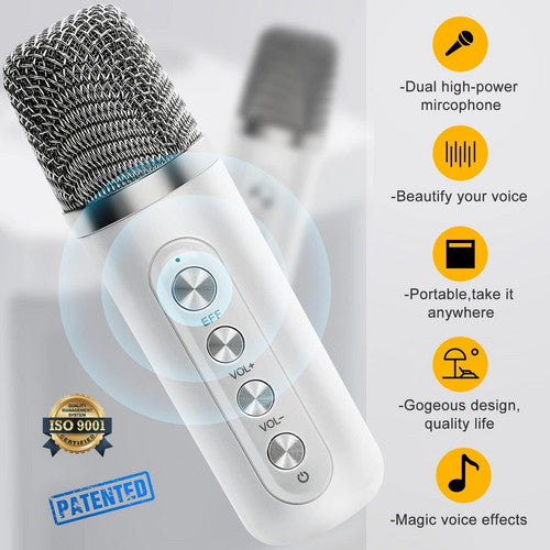 Sliver Karaoke Machine with 2 Wireless Microphones Bluetooth-Compatible 5.0 for Parties V201-QHGMMOREONE048