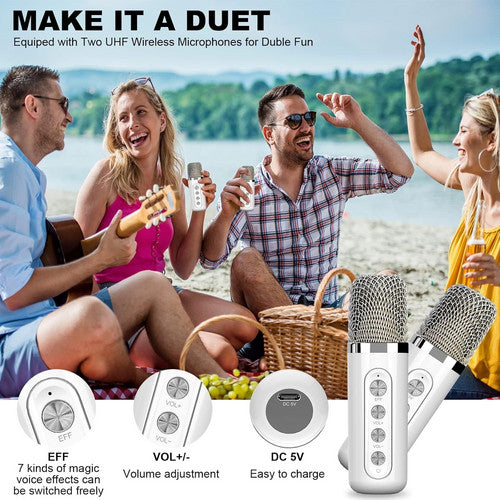 Sliver Karaoke Machine with 2 Wireless Microphones Bluetooth-Compatible 5.0 for Parties V201-QHGMMOREONE048