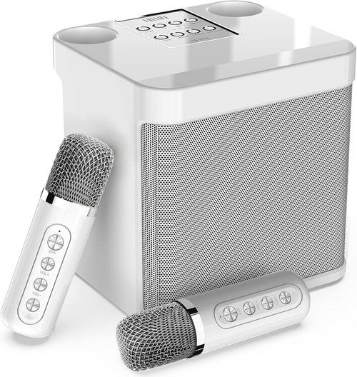 Sliver Karaoke Machine with 2 Wireless Microphones Bluetooth-Compatible 5.0 for Parties V201-QHGMMOREONE048