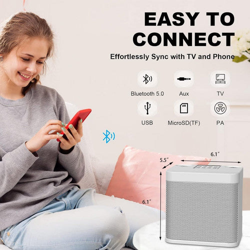 Sliver Karaoke Machine with 2 Wireless Microphones Bluetooth-Compatible 5.0 for Parties V201-QHGMMOREONE048
