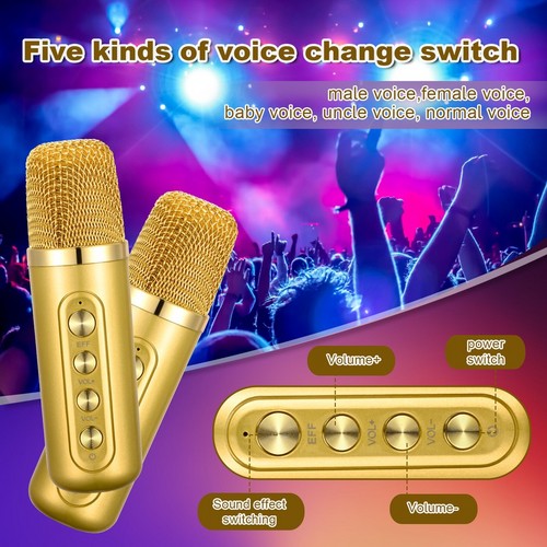 Gold Karaoke Machine with 2 Wireless Microphones Bluetooth-Compatible 5.0 for Parties V201-QHGMMOREONE049