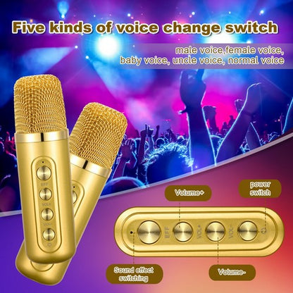 Gold Karaoke Machine with 2 Wireless Microphones Bluetooth-Compatible 5.0 for Parties V201-QHGMMOREONE049