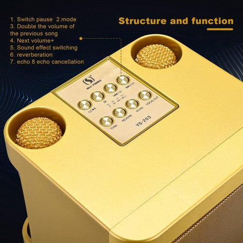 Gold Karaoke Machine with 2 Wireless Microphones Bluetooth-Compatible 5.0 for Parties V201-QHGMMOREONE049