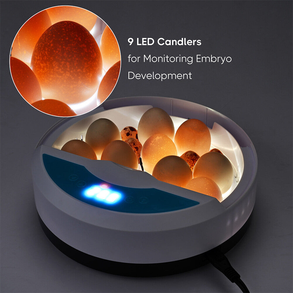 9 Egg Incubator Semi-Automatic Digital Temperature Chicken Duck Eggs Poultry V201-QUEW12466500