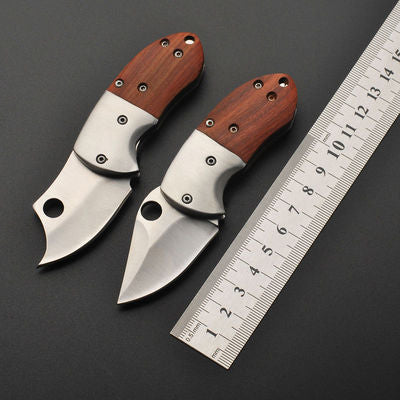 Small Mini Stainless Steel Folding Pocket Knife Keychain Blade Outdoor Survival Tactical Camping V201-SMKD020R