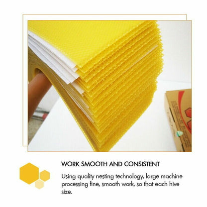 30Pcs Bee Hive Wax Honeycomb Bee Hives Beekeeping Equipment Frames Foundation V201-W12466388