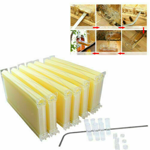 Neweast 7Pcs Flow Bee Comb Hive Frames For Wooden Beekeeping Beehive House V201-W12466559