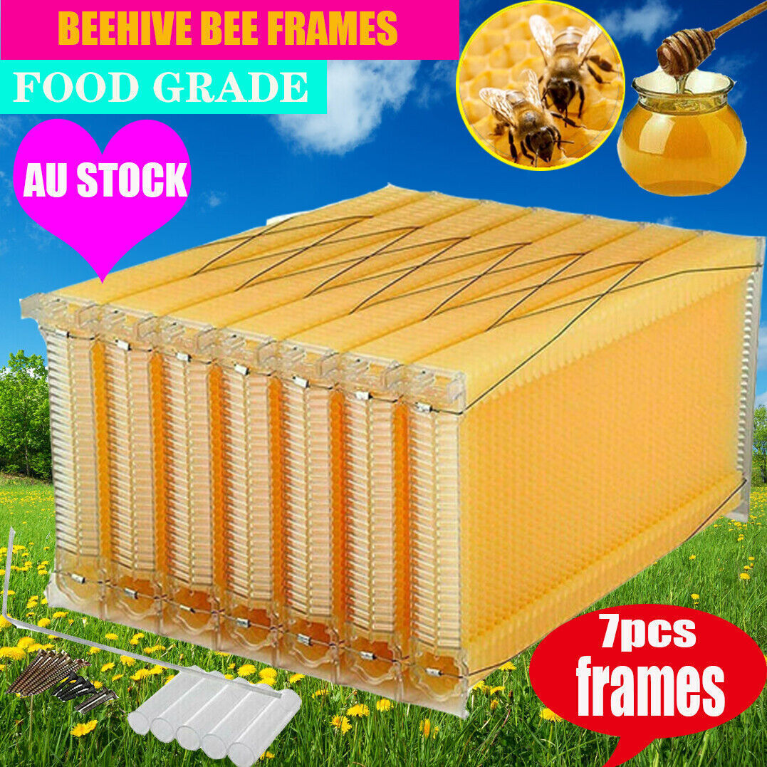 Neweast 7Pcs Flow Bee Comb Hive Frames For Wooden Beekeeping Beehive House V201-W12466559