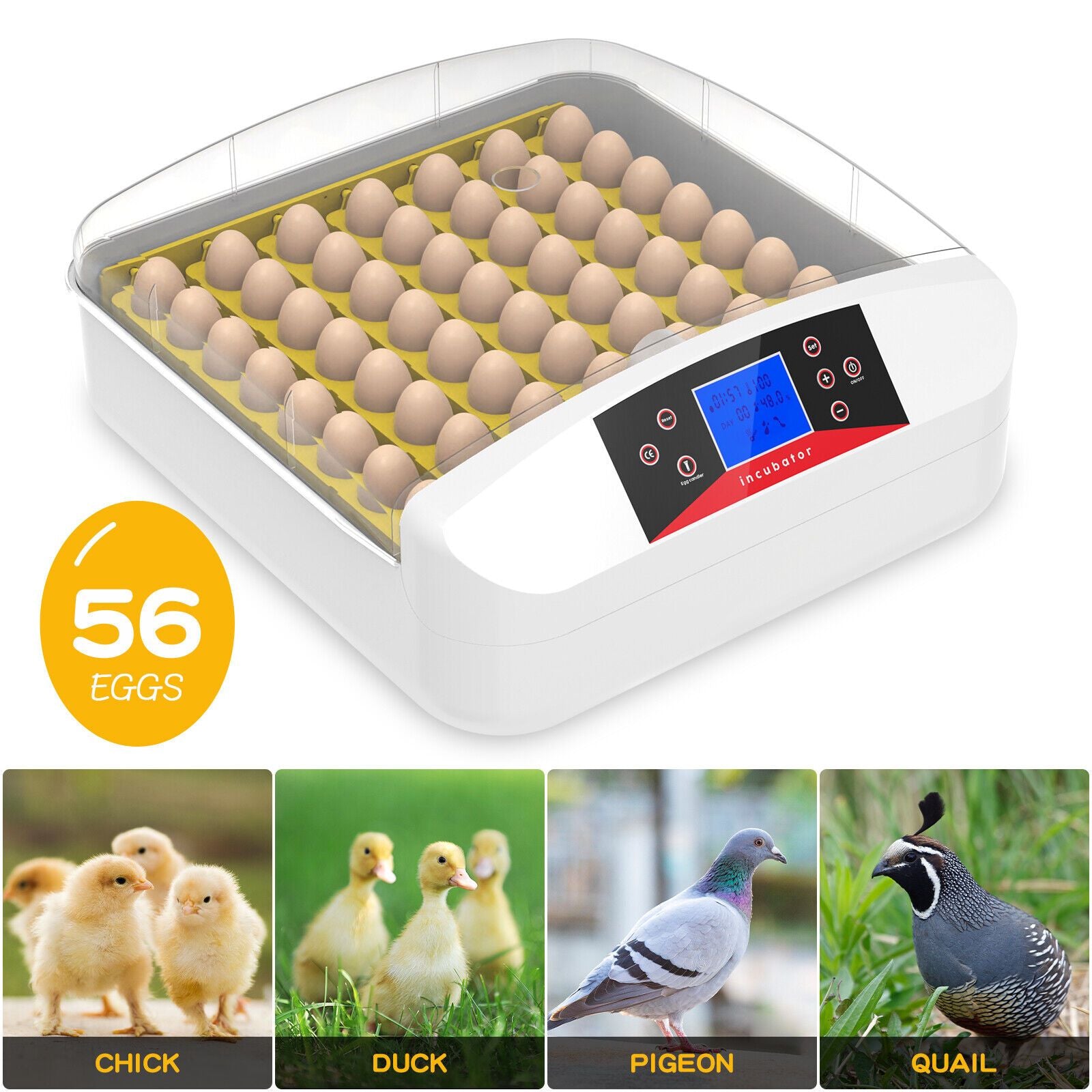 56 Eggs Automatic Incubator LED Hatching Digital Chicken Duck Poultry Hatcher AU