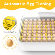 56 Eggs Automatic Incubator LED Hatching Digital Chicken Duck Poultry Hatcher AU