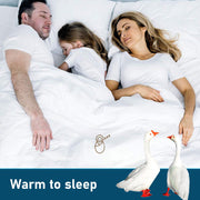 Goose Feather Down Quilt 700 GSM Duvet DoonasQueen:210x210cm V201-W12782679