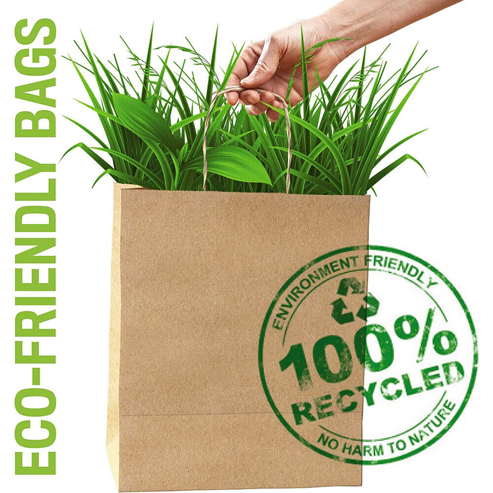 25pcs Bulk Kraft Paper Bags Gift Shopping Carry Craft Brown Retail Bag with Handles Au M V201-W12783477
