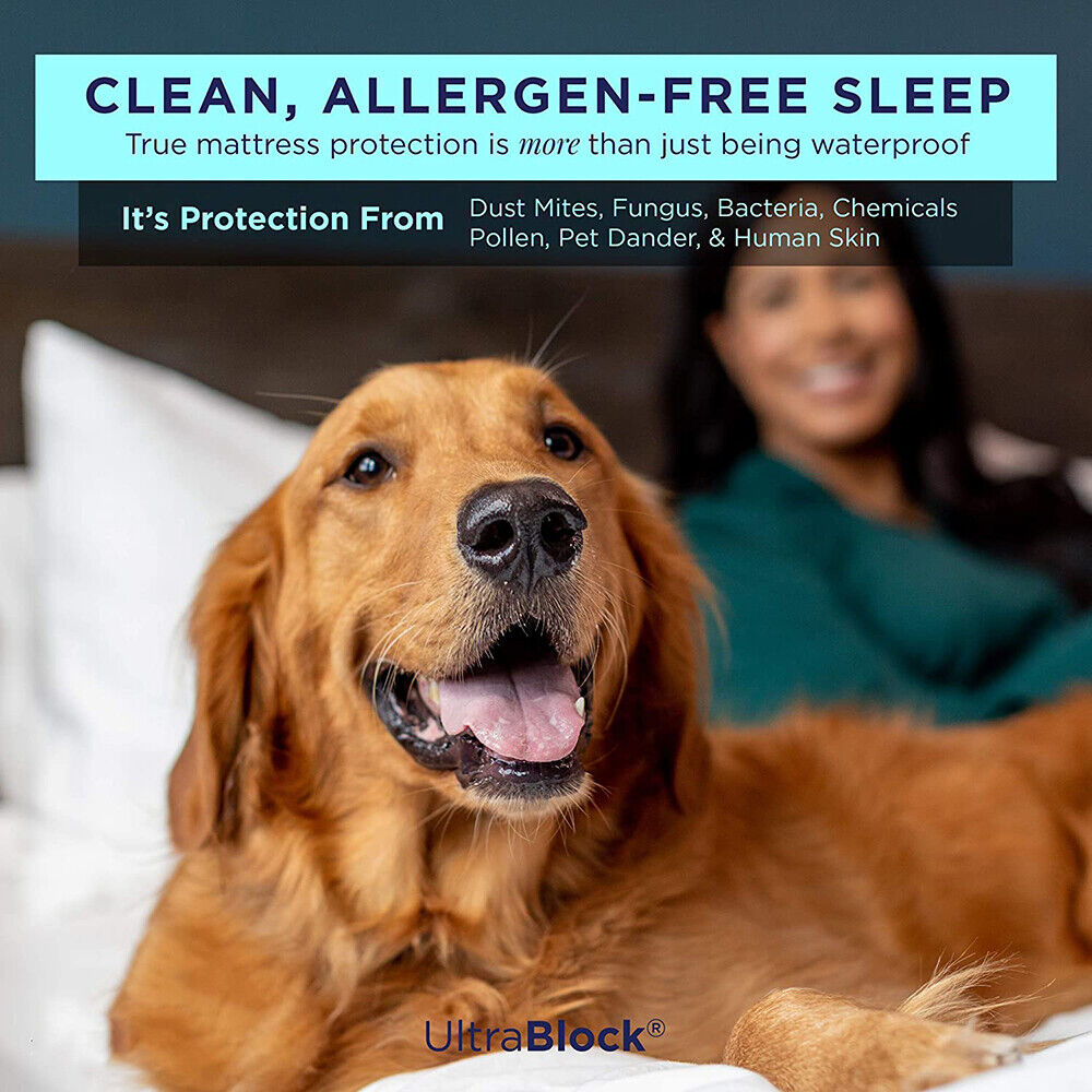 Fully Fitted Waterproof Cotton / Non Woven Mattress Protector Cover Double V201-W12784028