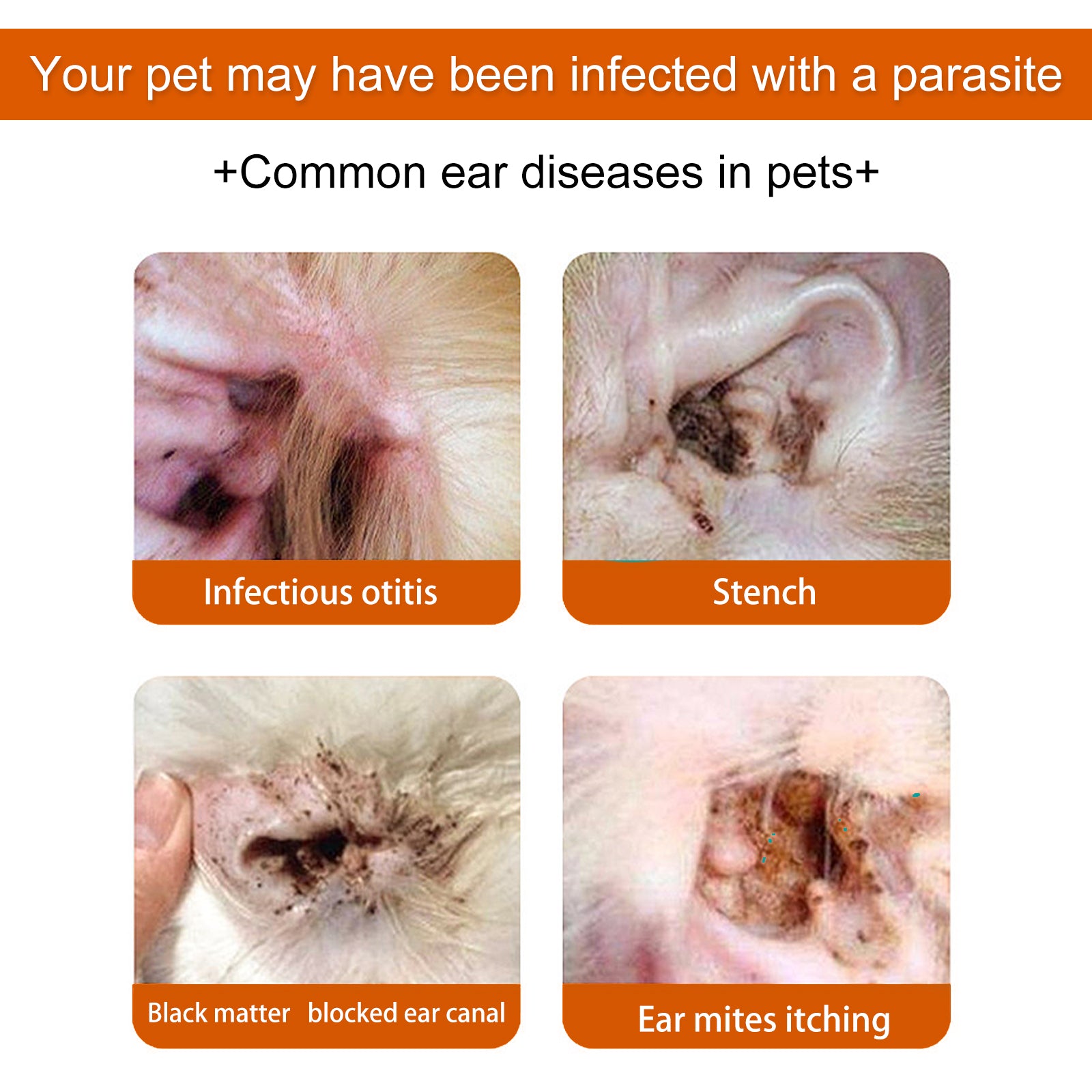 Yegbong Pet Ear Wipes, Pet Ear Cleaning Deodorizing Removing Mite And Earwax Cleaning Wipes V201-W13056848