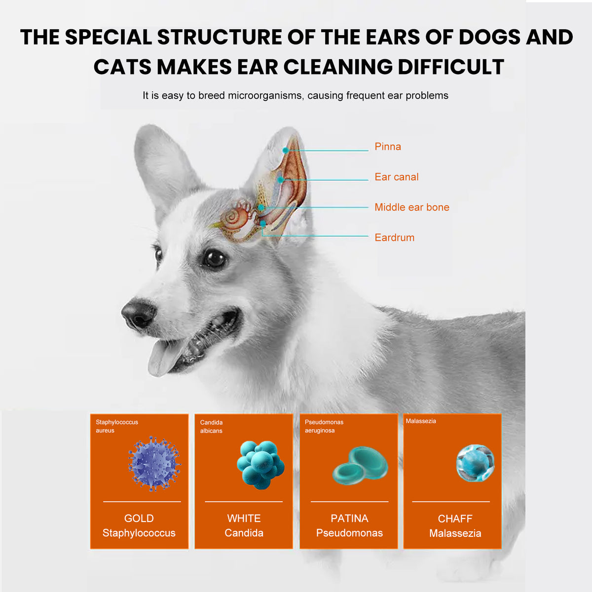 Yegbong Pet Ear Wipes, Pet Ear Cleaning Deodorizing Removing Mite And Earwax Cleaning Wipes V201-W13056848