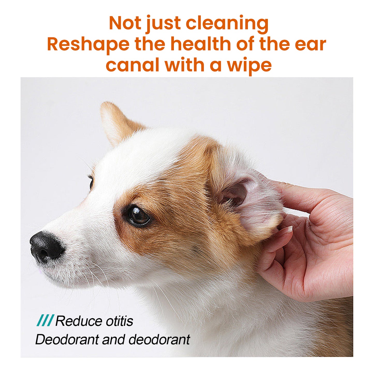 Yegbong Pet Ear Wipes, Pet Ear Cleaning Deodorizing Removing Mite And Earwax Cleaning Wipes V201-W13056848