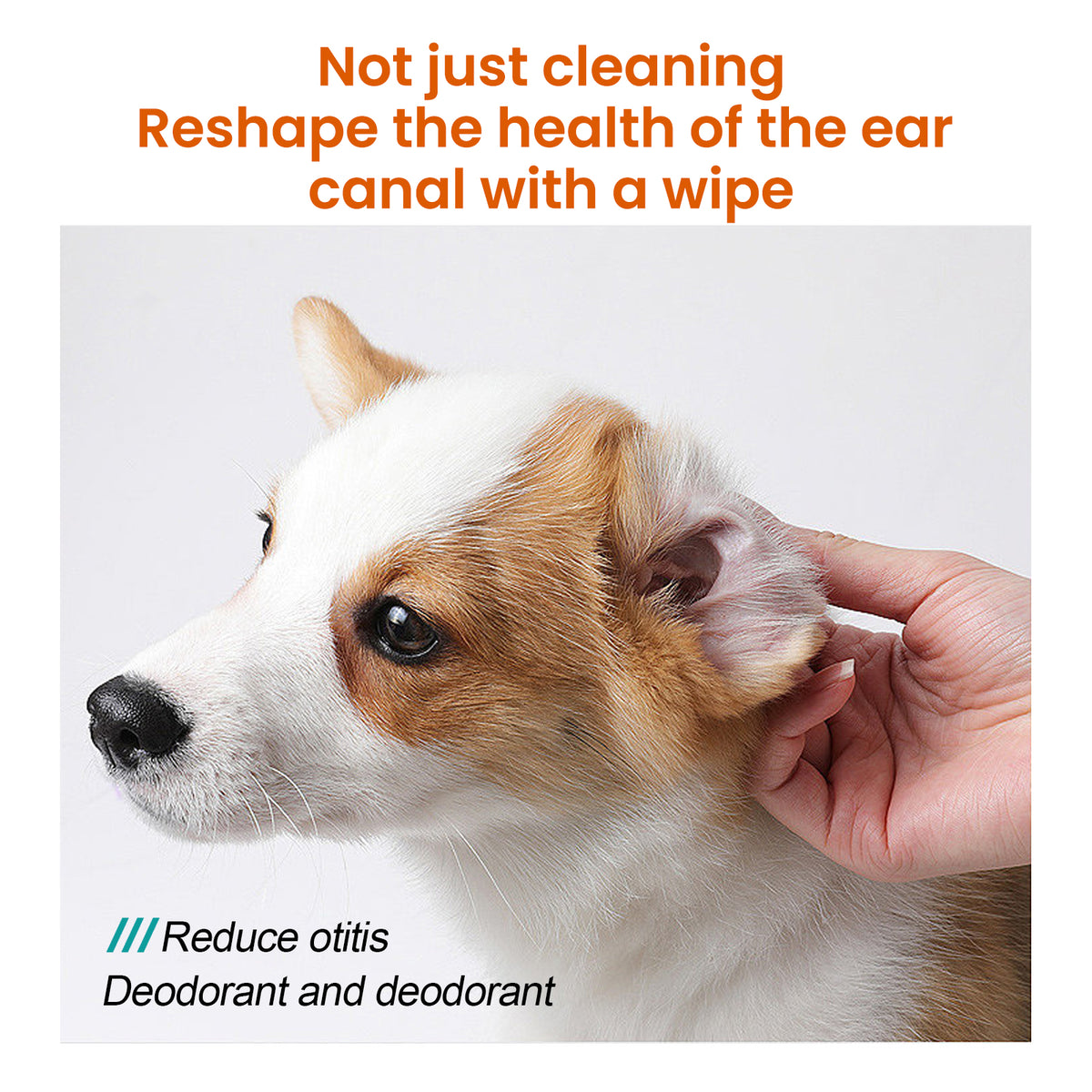 Yegbong Pet Ear Wipes, Pet Ear Cleaning Deodorizing Removing Mite And Earwax Cleaning Wipes V201-W13056848