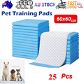 Pet Training Pads Puppy Dog Toilet Thickened Pee Mat Indoor Super Absorbent Pad V201-W13272597