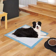 Pet Training Pads Puppy Dog Toilet Thickened Pee Mat Indoor Super Absorbent Pad V201-W13272597