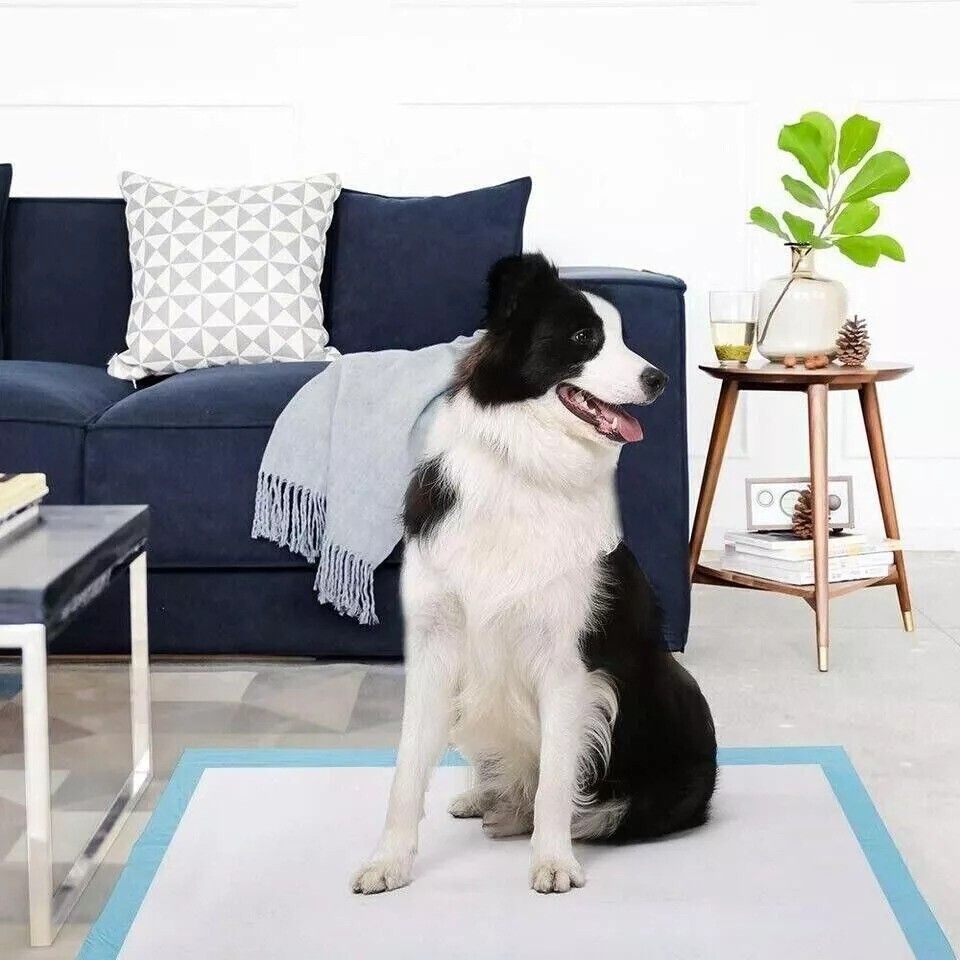Pet Training Pads Puppy Dog Toilet Thickened Pee Mat Indoor Super Absorbent Pad V201-W13272597